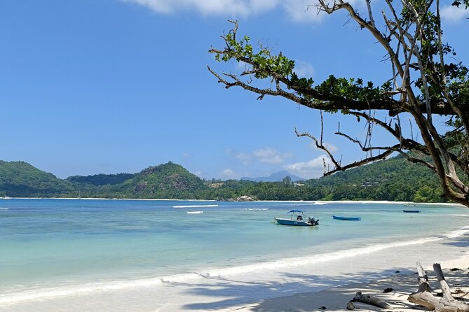 Mahe island Seychelles , unforgettable & adventurous tour - Anse Takamaka adds beach time and tortoises