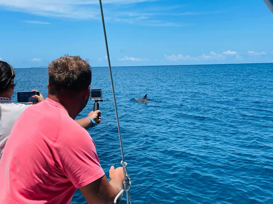 Mahe Island: St. Anne Marine Park Snorkeling Trip - Who should book this Mahé snorkeling trip?