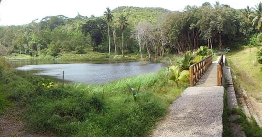 Mahé: Private Customizable Island Tour with Hotel Transfer - Gardens, rum, crafts, and Seychelles culture