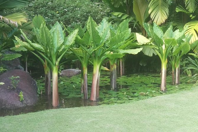 Mahe Private full day tour - Mission Lodge gives you Mahe from above