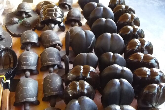 Mahe Private full day tour - Beaches, gardens, tortoises, and the parts you choose