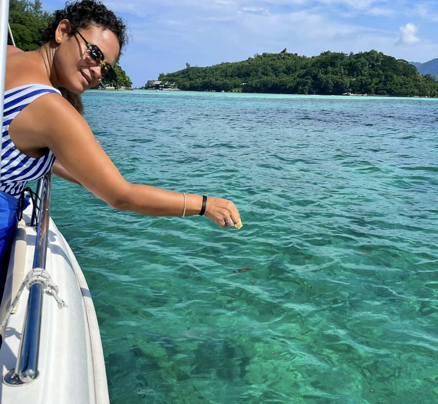 Mahe: Private half-day boat trip at the St.Anne Marine Park - Timing, packing, and practical limits