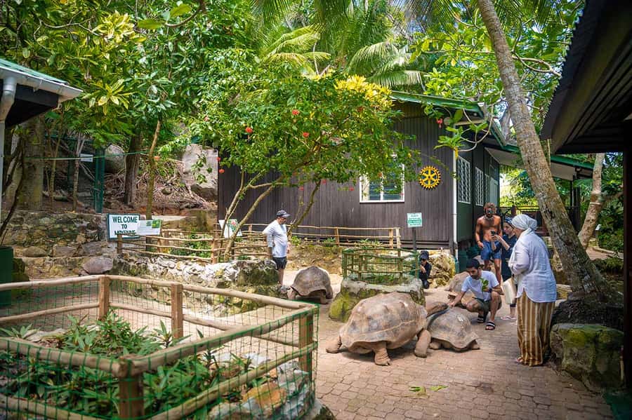 Mahé: Saint-Anne Marine Park and Moyenne Island Cruise - Why this day trip works so well