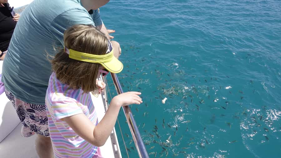 Mahe: St.Anne Marine National Park Reef Safari with Lunch - Why this full-day outing works so well