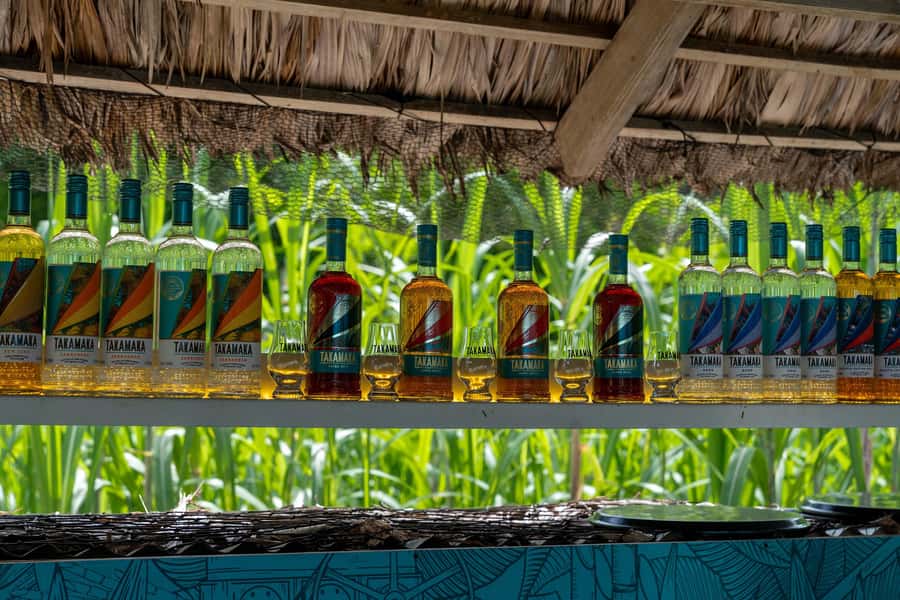 Mahé: Wild South Discovery Trip with Local Lunch - Creole lunch at Cap Lazare Nature Reserve