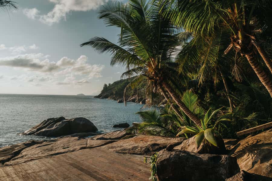 Mahé: Wild South Discovery Trip with Local Lunch - Trails, giant tortoises, and time by the water