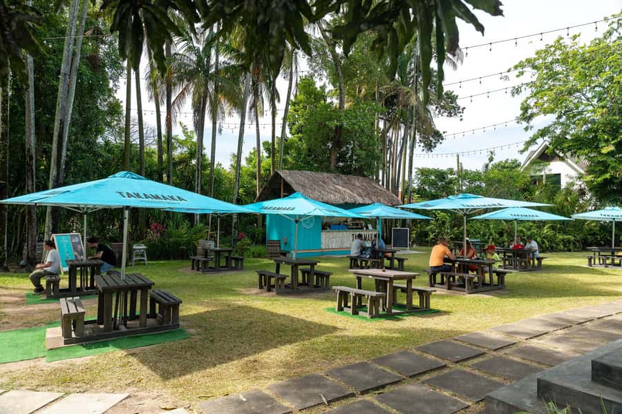Mahé: Wild South Discovery Trip with Local Lunch - What the guiding and driving add