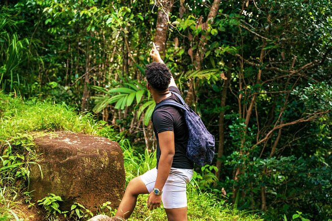 Nature trail - Morne Blanc (Mahe) - The viewpoint over southern and western Mahé