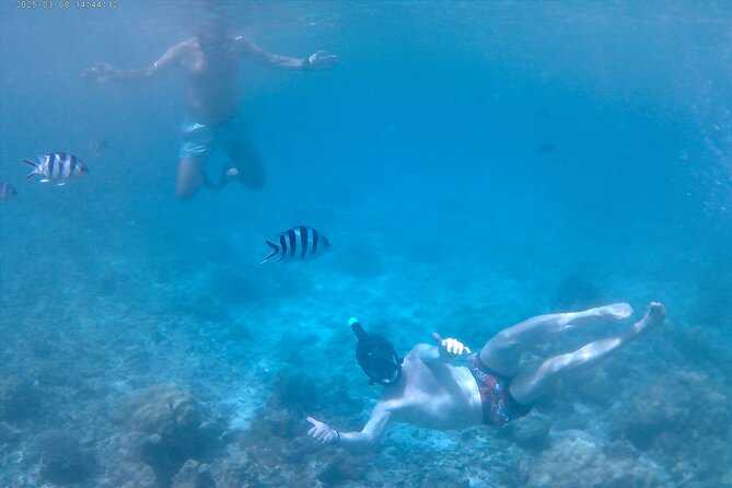 Praslin Curieuse, St Pierre &AnseLafarine fullday trip CreoleBBQ - Why this Praslin day trip works well