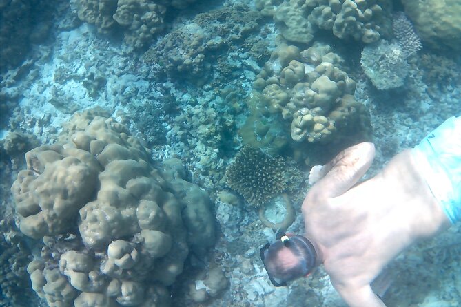 Praslin Curieuse, St Pierre &AnseLafarine fullday trip CreoleBBQ - What the $90.71 price really covers
