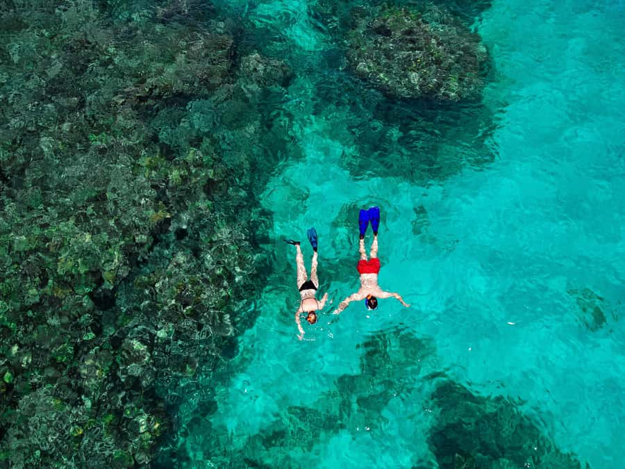 Praslin: Curieuse & St. Pierre Full-Day Boat Trip with Lunch - What This Praslin Boat Trip Is Really Like
