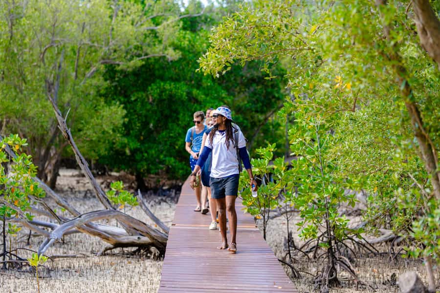 Praslin: Curieuse & St. Pierre Full-Day Boat Trip with Lunch - Curieuse Brings You Face to Face With Giant Tortoises
