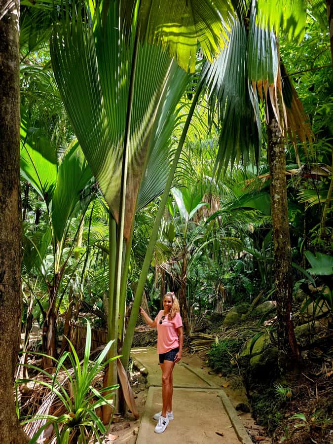Praslin: Full Day Private Tour - Anse Georgette, Anse Lazio, and the Water