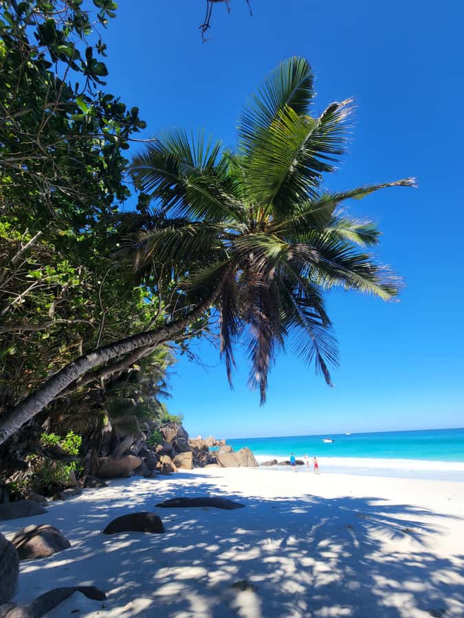Praslin: Full Day Private Tour - Accessibility, Pace, and What to Pack