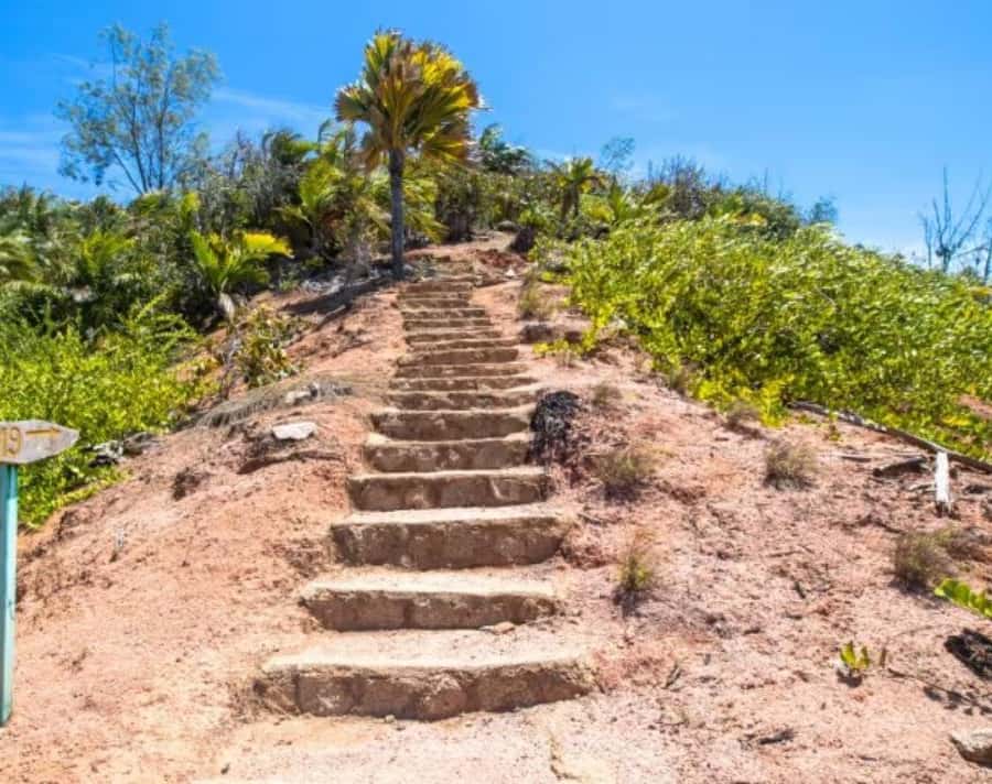 Praslin : Private tour - Why this Praslin day works well