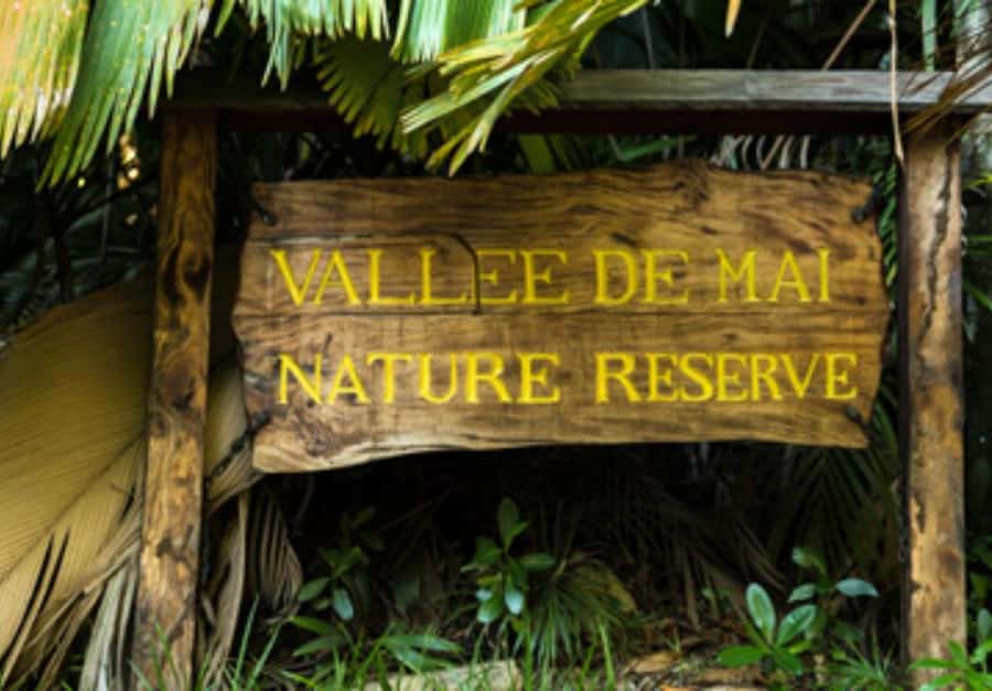 Praslin : Private tour - Anse Georgette, a beautiful stop with an access warning