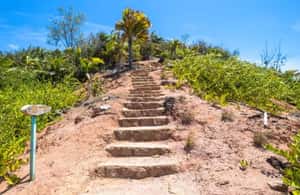 Praslin : Private tour - The walk from Mt Plaisir to Anse Lazio