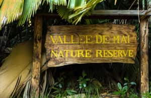 Praslin : Private tour - Zimbabwe viewpoint and the final return