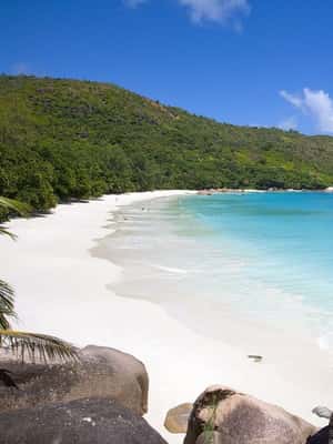 Praslin : Private tour - What the $117 price really covers