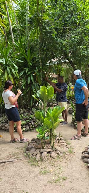 Praslin:Private Tour ValleDeMai,CoteD'orMuseum & AnseLazio - Côte d’Or Museum and a taste of local Praslin