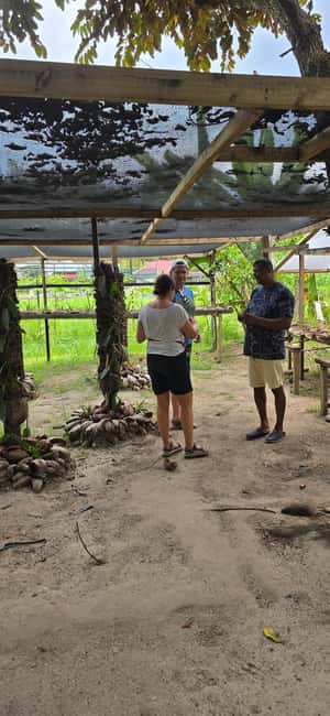 Praslin:Private Tour ValleDeMai,CoteD'orMuseum & AnseLazio - Who should choose this tour?