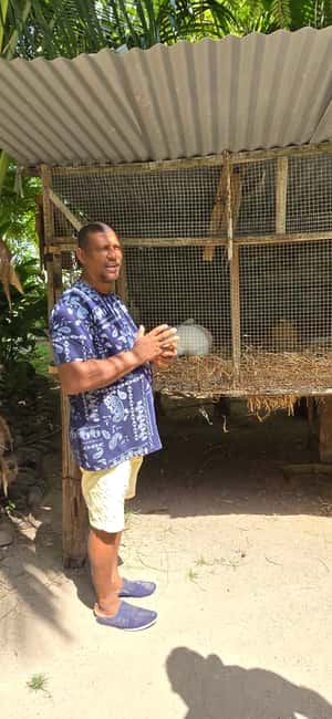 Praslin:Private Tour ValleDeMai,CoteD'orMuseum & AnseLazio - What to pack for six hours outdoors