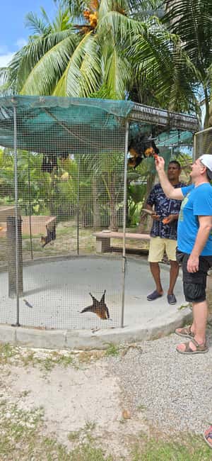 Praslin:Private Tour ValleDeMai,CoteD'orMuseum & AnseLazio - A 10 a.m. hotel pickup across Praslin
