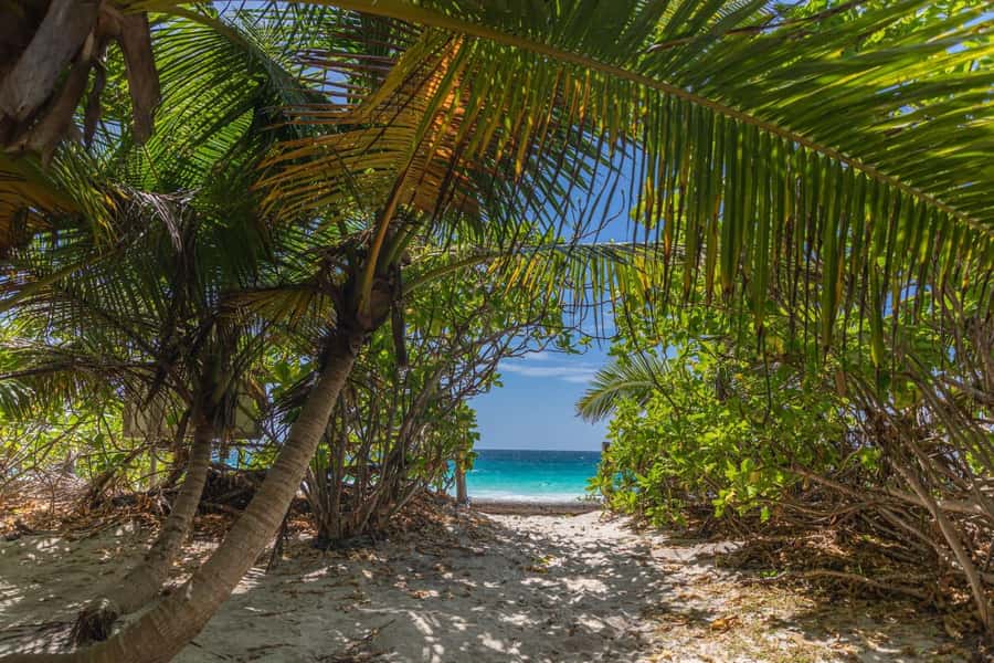 Praslin: Sister & Coco Island Full-Day Cruise and Creole BBQ - Key points to know before booking