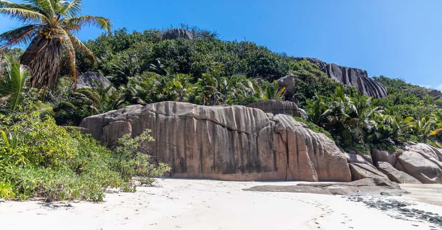 Praslin: Sister & Coco Island Full-Day Cruise and Creole BBQ - Why this island cruise works so well