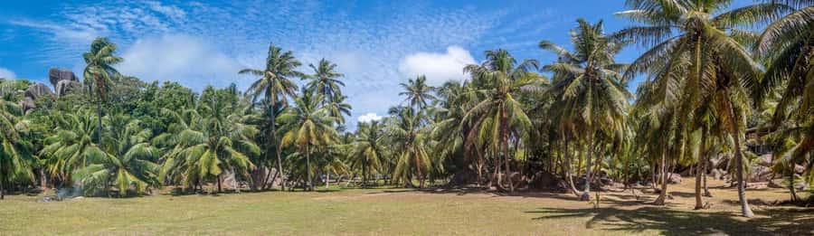 Praslin: Sister & Coco Island Full-Day Cruise and Creole BBQ - What to pack for a saltwater day