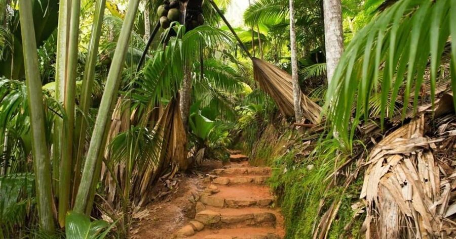 Praslin : Tour (Shared) - Zimbabwe viewpoint adds a useful final stop