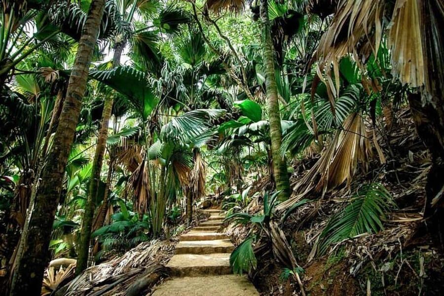 Praslin : Tour (Shared) - What to bring for a smoother day