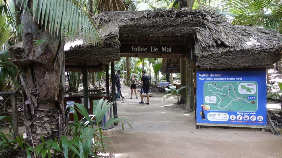 Praslin: Vallée de Mai and Anse Lazio Beach Full-day Tour - Key points to know before booking