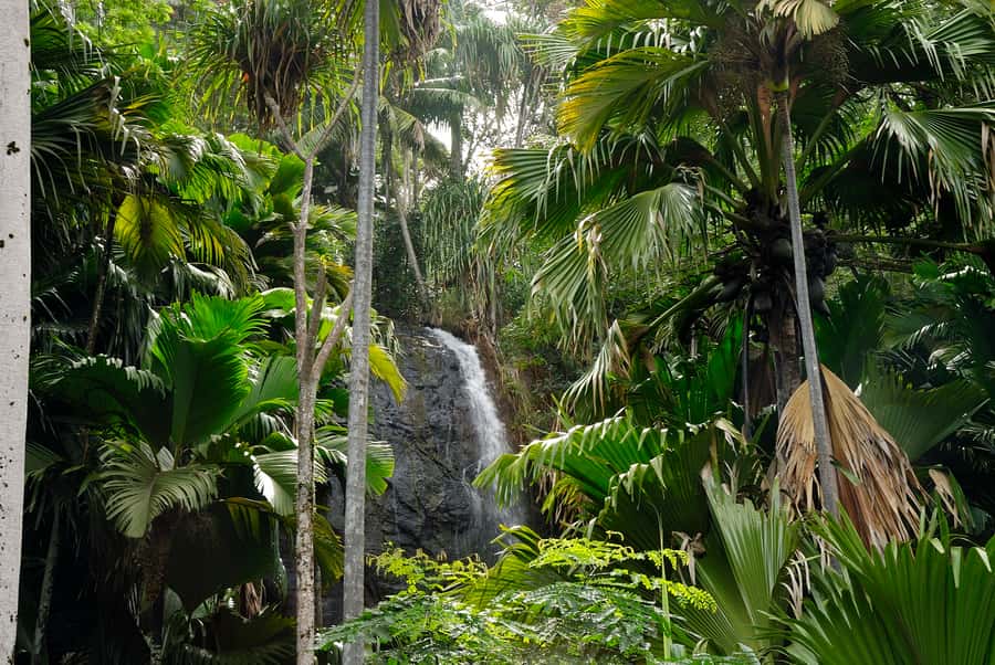 Praslin: Vallée de Mai and Anse Lazio Beach Full-day Tour - Anse Lazio for a long, unhurried afternoon