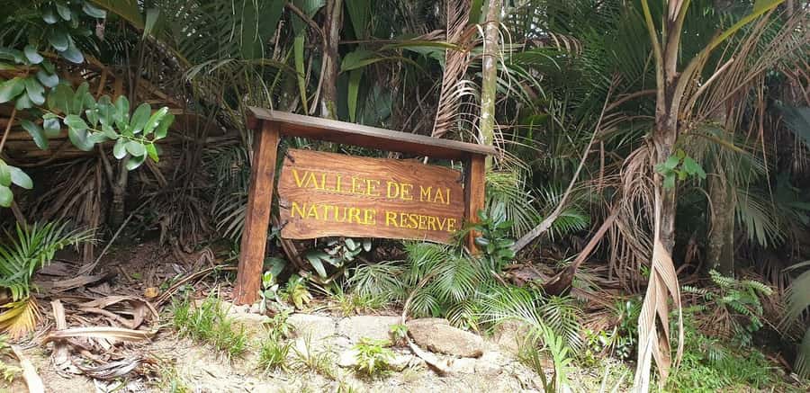 Praslin: Vallée de Mai and Anse Lazio Beach Full-day Tour - The guides make the biggest difference