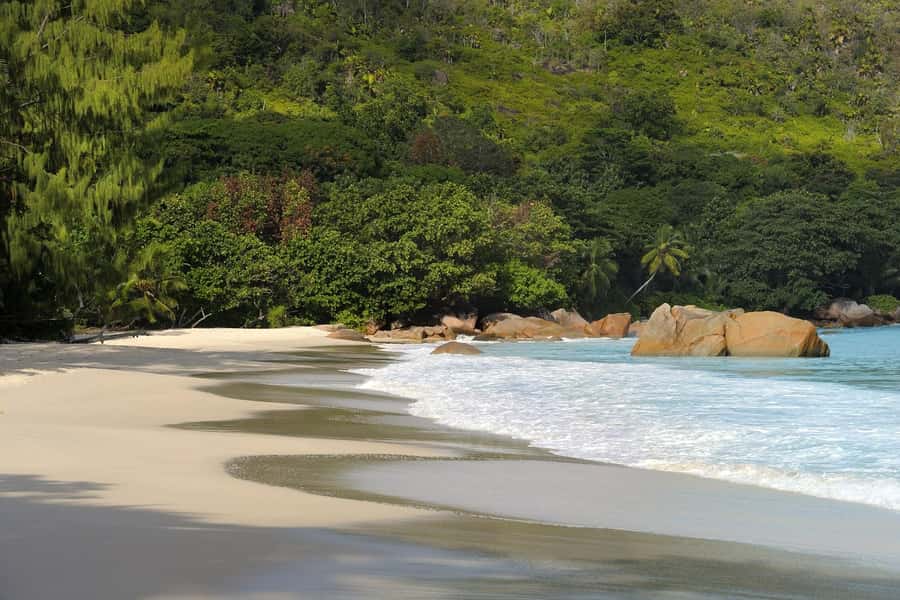 Praslin: Vallée de Mai and Anse Lazio Beach Full-day Tour - Is $76 per person a fair price?
