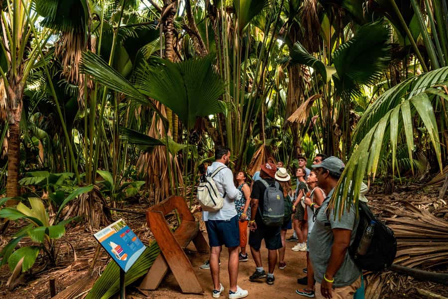 Praslin: Vallee de Mai Guided Hike with Transfer - Key points to know before you book