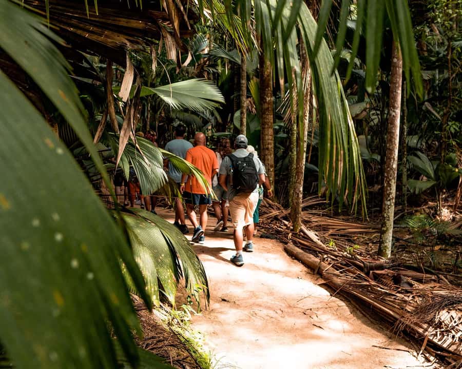 Praslin: Vallee de Mai Guided Hike with Transfer - What the two-hour itinerary feels like