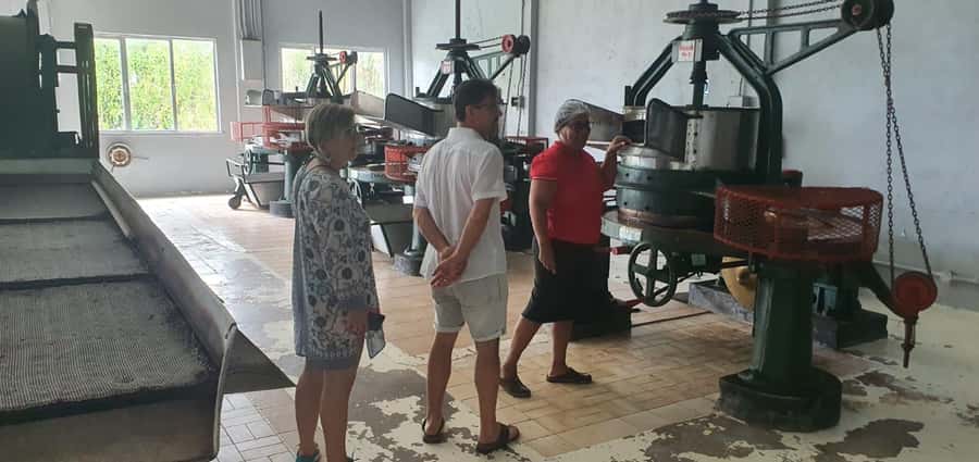 Private Customized Tour: Explore Mahe beyond the ordinary - Key points at a glance