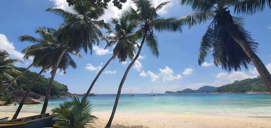 Private Customized Tour: Explore Mahe beyond the ordinary - Sir Selwyn Selwyn Clarke Market for everyday island life