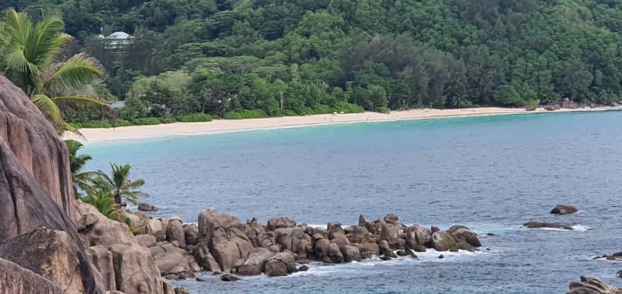 Private Customized Tour: Explore Mahe beyond the ordinary - Coco de Mer and giant tortoises at the Botanical Garden