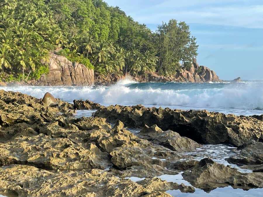 Private Customized Tour: Explore Mahe beyond the ordinary - Domaine de Val des Pres and traditional Seychellois skills