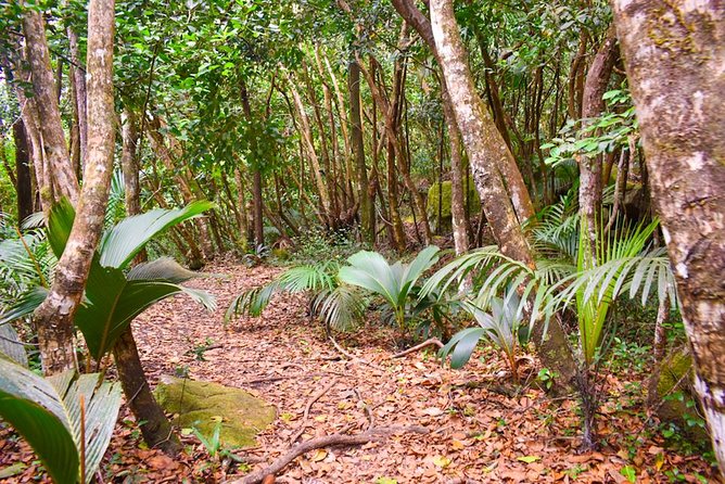 Private Full day Mahé island tour (1-2 persons) - Who will enjoy this tour most