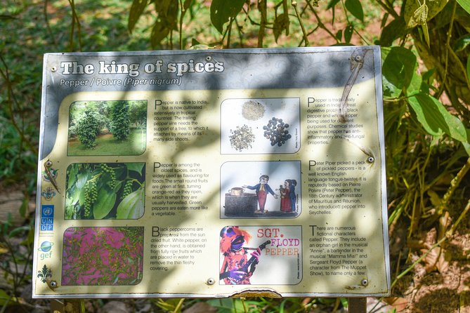 Private Half Day Mahe Island Tour (1-5 persons) - Seychelles National Botanical Gardens And Giant Tortoises