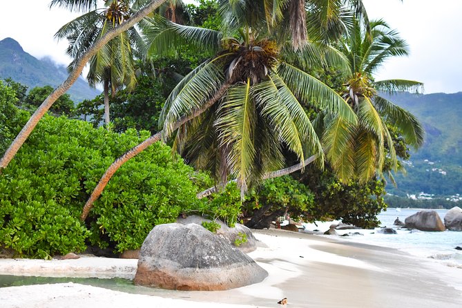 Private Half Day Mahe Island Tour (1-5 persons) - Beaches, Rainforest, And The Custom Route