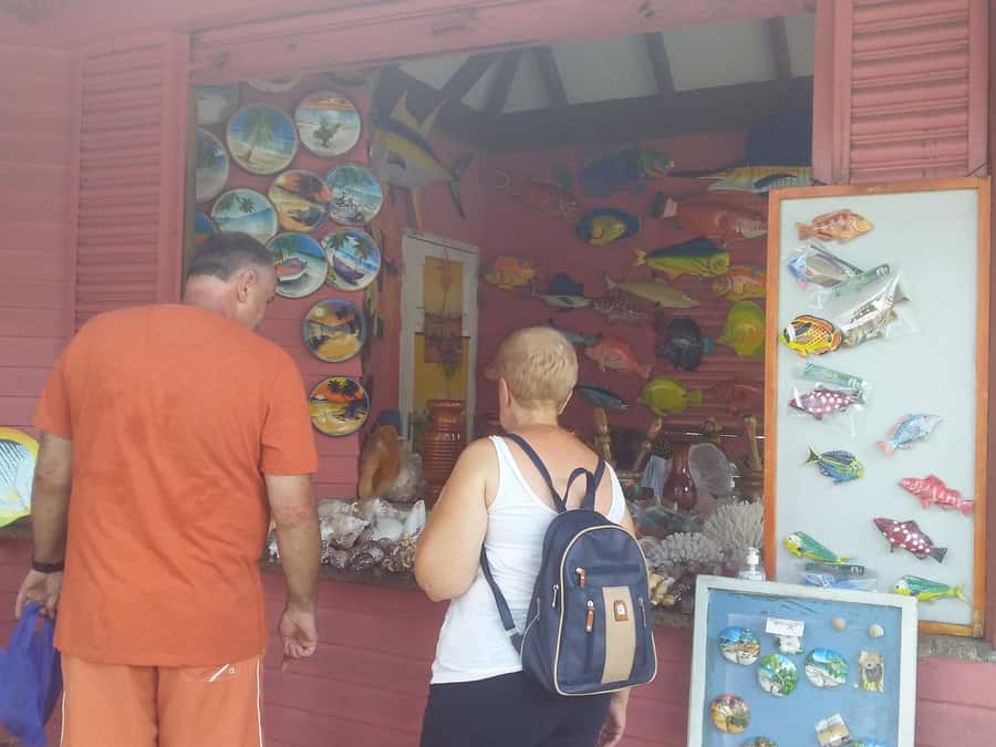 Private half day tour with free rum tasting - Victoria: a small capital with plenty to notice