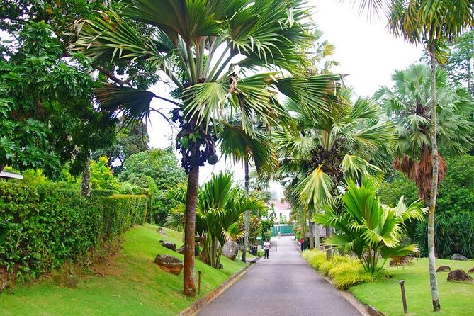 Private Mahe Island Full day Tour with Pickup - Creole culture at Domaine de Val des Prés