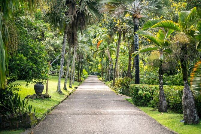 Private Mahe Island Full day Tour with Pickup - Beau Vallon has the most activity