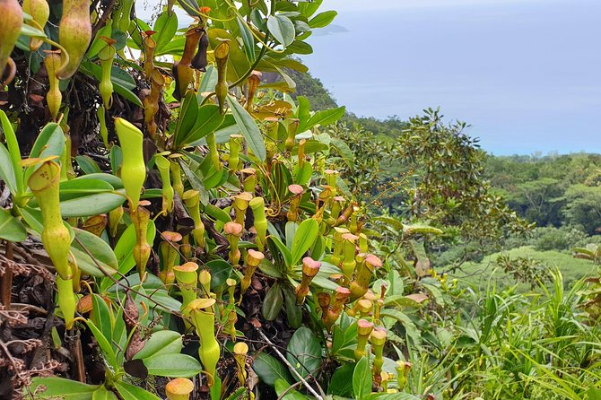 Private Nature Tours & Trail 1 to 5 persons - What guide Nils adds to the day