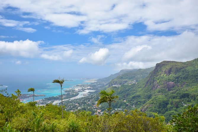 Private Nature Trail (Hiking) (1-2 persons) - What the private Mahé hike is really like